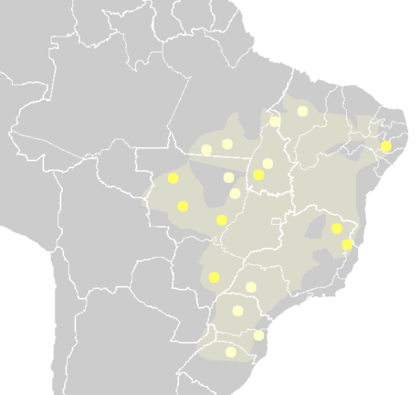 Jê languages