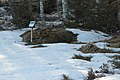 Svenska: Rester efter en färskningshärd på Lapphyttan, Norbergs kommun, Sverige. This is a picture of an archaeological site or a monument in Sweden, number Karbenning 22:1 in the RAÄ Fornsök database.