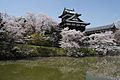 Koriyama Castle / 郡山城