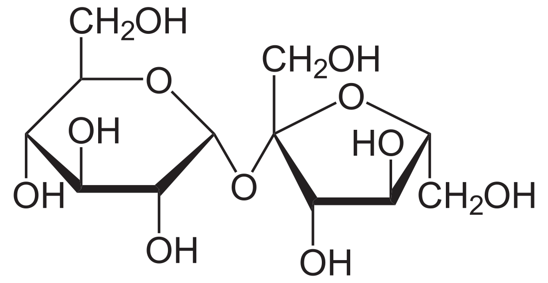 Sucrose