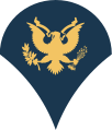 US Army OR-04b (Specialist)