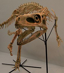 Staurikosaurus.jpg