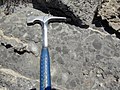 Alamo impact breccia (Late Devonian, Frasnian) near Hancock Summit, Pahranagat Range, Nevada.