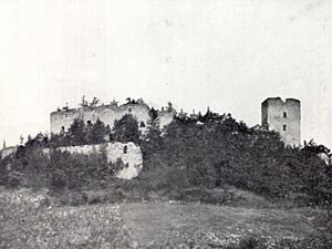 Slovenščina: Grad Konjice (cca. 1905) English: Gonobitz castle 1905 Deutsch: Burg Gonobitz 1905