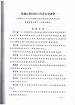 Thumbnail for File:西藏自治区职工代表大会条例.pdf