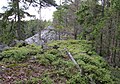 Čeština: Přírodní památka Hřebenec, nedaleko Rožmitálu pod Třemšínem v okrese Příbram (ČR) English: Natural monument Hřebenec, near Rožmitál pod Třemšínem in Příbram District (Czech Republic)