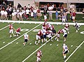 Sooner quarterback Sam Bradford hands the ball off to running back DeMarco Murray