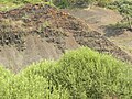 Messel Oil shale outcrop (Eocene, Germany).