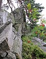 Čeština: Přírodní památka Hřebenec, nedaleko Rožmitálu pod Třemšínem v okrese Příbram (ČR) English: Natural monument Hřebenec, near Rožmitál pod Třemšínem in Příbram District (Czech Republic)