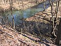 Paramour Creek and the smaller Allen Run joining to form the Sandusky River in Crawford County, Ohio.