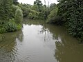 Aire River at Apremont, France.