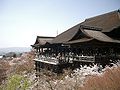 桜咲く清水寺、2005年4月投稿者自身による撮影、kiyomiudera temple in spring,kyoto japan )