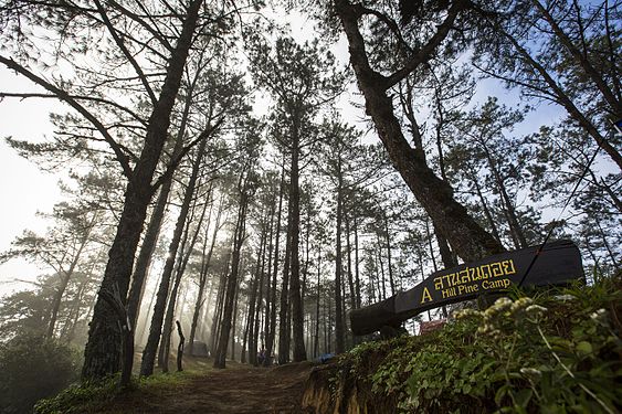 Hill Pine Camp, Huai Nam Dang National Park © Sirapa Atikomchakorn