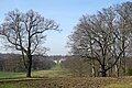 Park mit Sichtachse zum Schloss