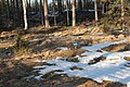 Svenska: Rester efter en färskningshärd på Lapphyttan, Norbergs kommun, Sverige. This is a picture of an archaeological site or a monument in Sweden, number Karbenning 22:1 in the RAÄ Fornsök database.