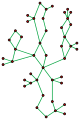 Cactus graph