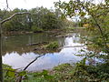 Wilde Saale von der Rabeninsel