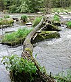 Čeština: Přírodní rezervace Stvořidla podél řeky Sázavy, okres Havlíčkův Brod English: Nature Reserve Stvořidla along River Sázava, Havlíčkův Brod District