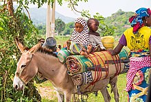 Fulani Nomads.jpg