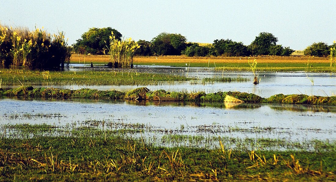 Bangweulu Wetlands