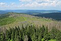 Čeština: Výhled z rozhledny na Poledníku, který je součástí národního parku Šumava, nedaleko obce Prášily v okrese Klatovy English: View from Poledník, national park Šumava, near Prášily in Klatovy District