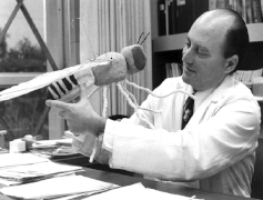 June 15: Biologist Seymour Benzer with a model of Drosophila melanogaster.