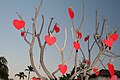 Tree decorated for Valentine's Day