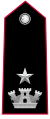 Shoulder insignia for major of Carabinieri.