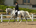 Dressage