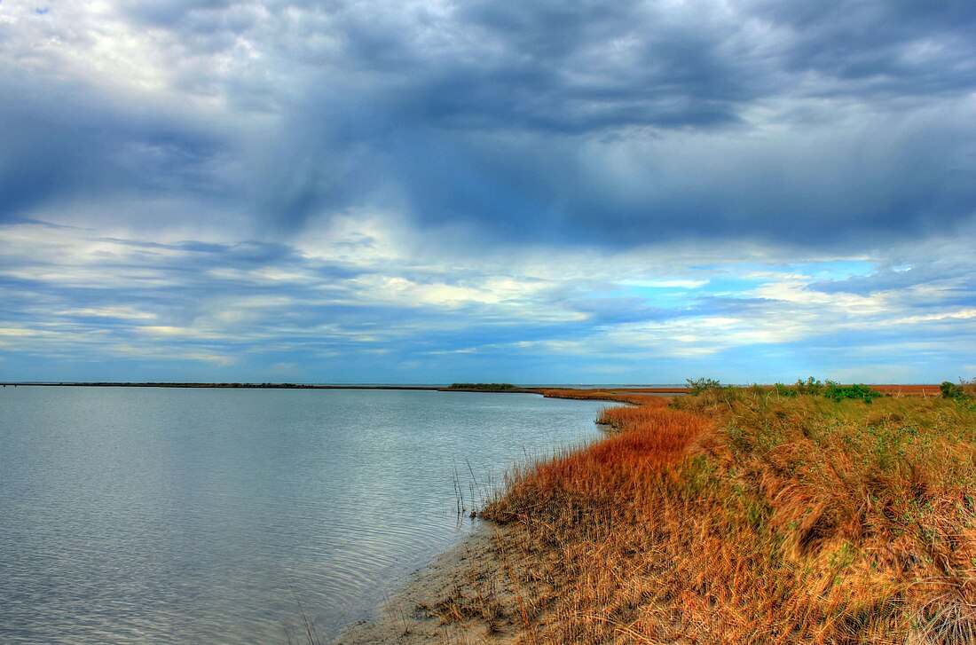 Gulf of Mexico