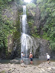 Kitikite falls, Waitakere Ranges