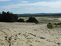 Błędów Desert, Polish Jura (Silesia)