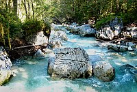 Creek in the Ramsauer Ache, Zauberwald, Bavaria.