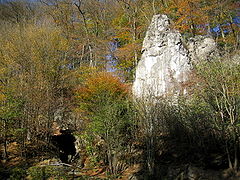 26.1.08 Reckenhöhle