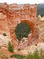 Natural Bridge at Bryce Canyon National Park. Actually an arch.