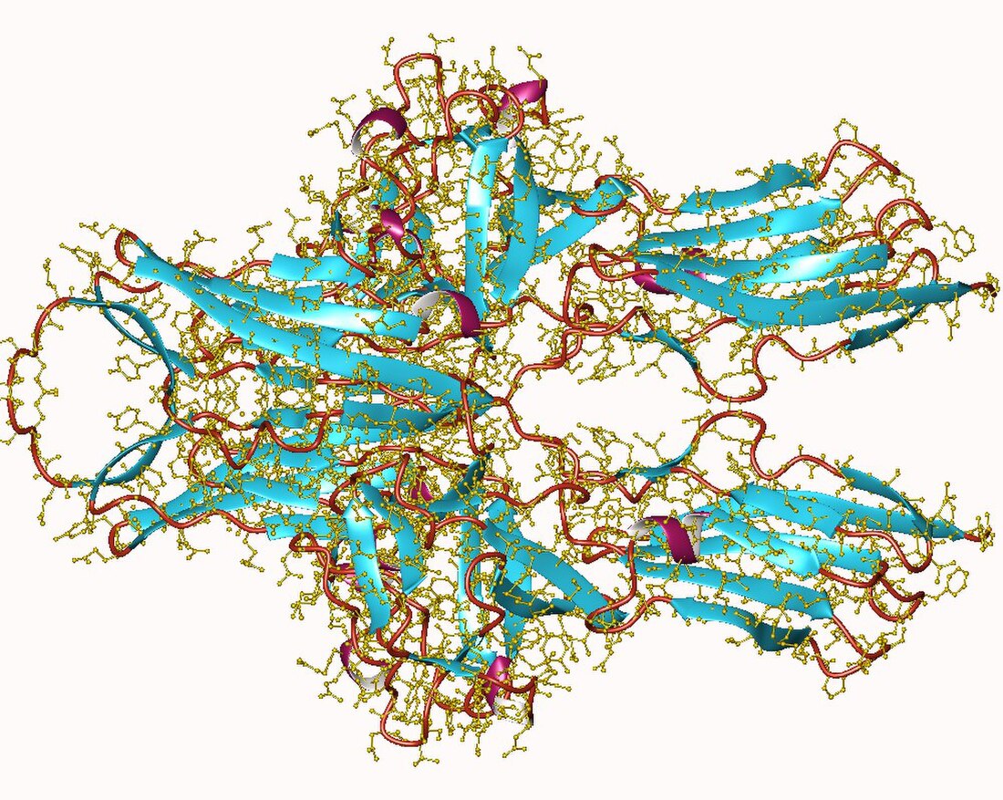 VEGF receptor