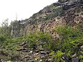 Outcrop of Brassfield Limestone (Early Silurian) in Oakes Quarry near Fairborn, Ohio, USA.