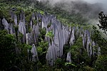 Thumbnail for File:Mulu Pinnacles.jpg