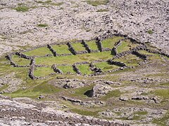 Sheep cote in the lava