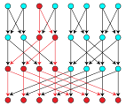 Butterfly network as a multitree