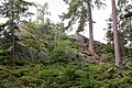 Čeština: Přírodní památka Hřebenec, nedaleko Rožmitálu pod Třemšínem v okrese Příbram (ČR) English: Natural monument Hřebenec, near Rožmitál pod Třemšínem in Příbram District (Czech Republic)