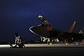 Airman 1st Class Aaron Tate inputs data into his portable maintenance aid Jan. 21 in front of an F-22 Raptor at Kadena Air Base, Japan. Airman Tate is deployed from the 27th Fighter Squadron at Langley Air Force Base, Va.