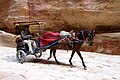 Tourist hors cart in the Siq