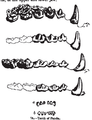 Dentition