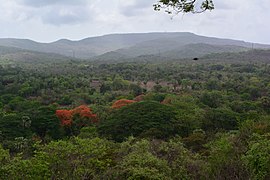 Sanjay Gandhi National Park