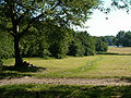 Amsterdamse bos (in Amstelveen)