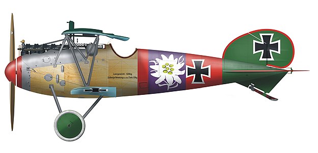 Albatros D.V, Paul Bäumer, Jasta 5, 1917