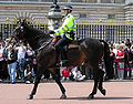 Mounted policeman outside Buckingham Palace