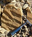 Ripplemarks in a siltstone (Carmel Formation, Middle Jurassic, near Gunlock, Utah).