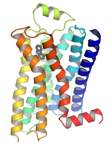 G protein-coupled receptor